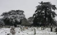 The Cemetery in Winter: Click to enlarge