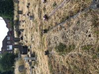 Johnson grave &copy;fnrc